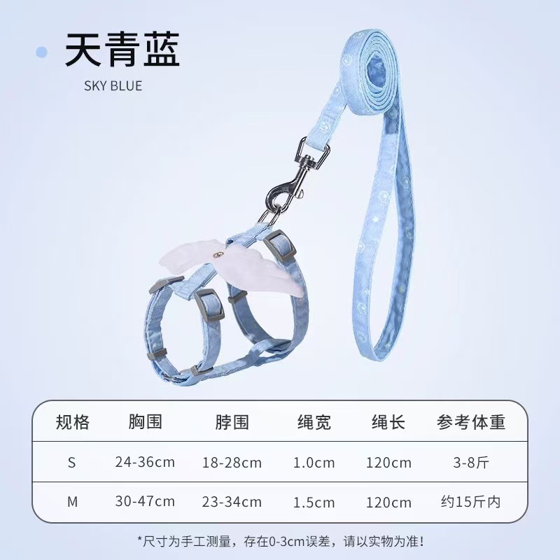 하늘색 천사 납작끈