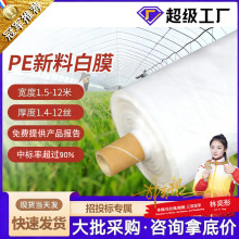 大棚塑料膜薄膜农业蔬菜膜农膜种菜塑料布农用透明保温白色大棚膜