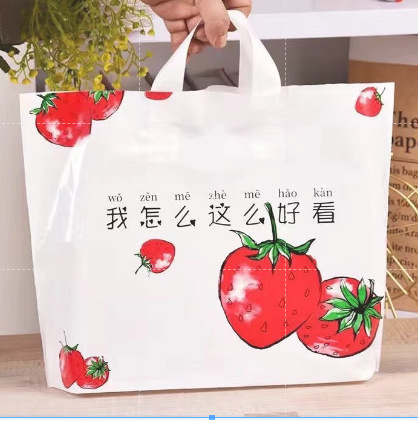 Bolsa de mano, bolsa para ropa, bolsa con logotipo impreso personalizado para ropa, bolsa de regalo, bolsa de cosméticos de plástico engrosado y duradero