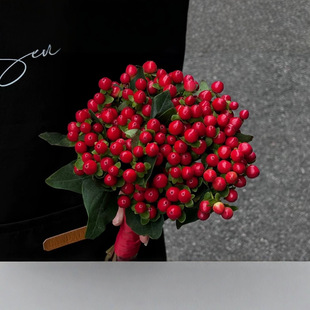 Kunming Straight Hair Red Beans Picked on the Same Day Domestic Flower Shop Wholesale Flower Arrangement Flowers Acacia Beans Mung Beans Red Beans Wholesale