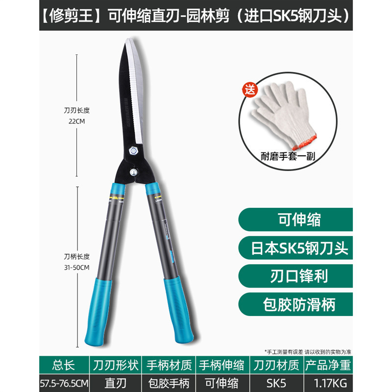 Tijeras florales Artesanía alemana Ramas de frutas Tijeras de ramas Cuchillos Tijeras de poda Bosque verde Jardinería Poda importada Envío gratis