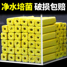 �~���^�V���V�� �h�t�����������������ݼ{����� ˮ����מV��V