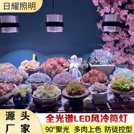 植物生长灯;定时器插座;格栅灯