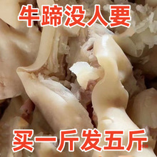 ţ��Ƥţ�_Ƥȥ�������u���uζ����˻��ţ������lţ���Ї����