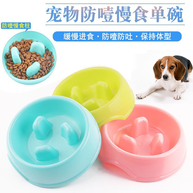 Recommended pet products: pet dog bowl