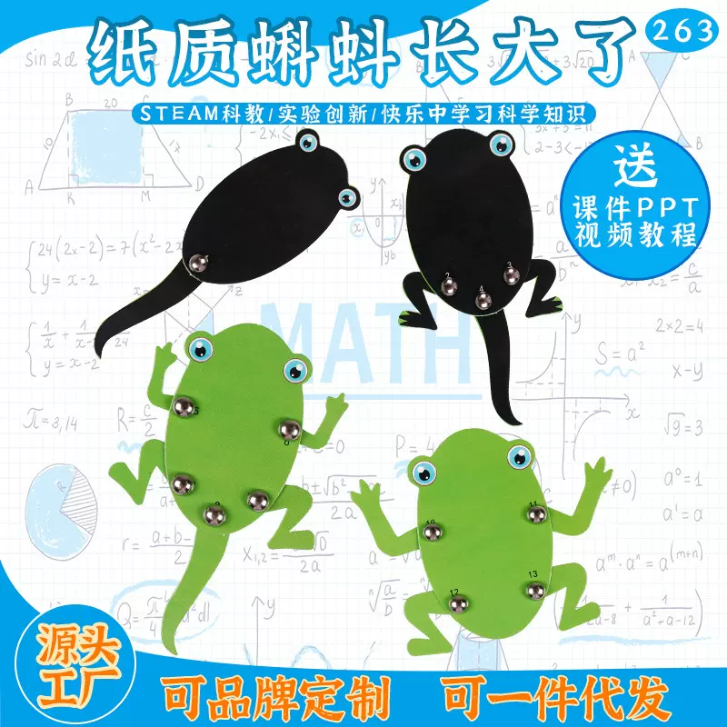 小蝌蚪长大了 幼儿园手工课材料包DIY科技小制作科学实验青蛙一生