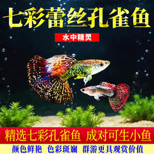 �߲��ٽz��ȸ�~���N�^�p�~С�͵�ˮ���B�Ꭷ�~���w����~С�~�~��