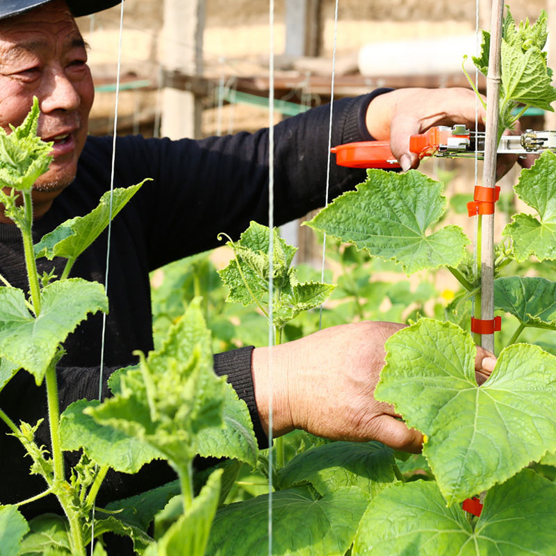 2e030a4a87d358ef1b2b58d5730fbc