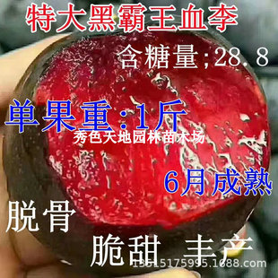 �ڰ������Ә���޽Ӻ��m�ھ��������ϱ����ļ��Nֲ����Ԯ���Y��