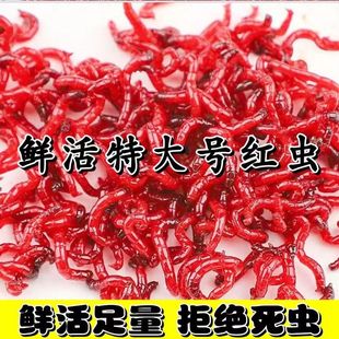 �r��t�x�ش�̖�؃r���x���D���h�~�D���l�a�~Ұ��D��ι�~��~