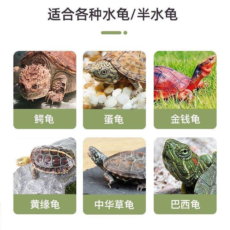 カメの毛色ボックス、カメの孵化・飼育ボックス、卵カメの加温、黒と白の隔離カメの孵化ボックス、沈殿板付き|undefined