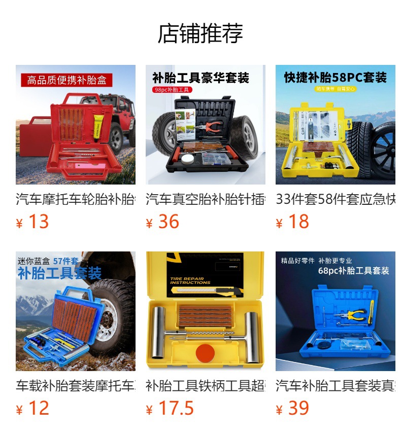 Tire Repair Tool Kit with Iron Handle, 15 Pcs