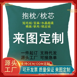 厂家来图定制文创意动植物周边玩偶抱枕活动礼品枕头异形抱枕靠垫