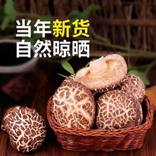 金钱菇干货农家干香菇小菌菇炖肉炖鸡汤火锅农家晾晒火锅食材干货