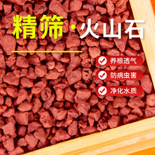 火山石颗粒鱼缸底砂净水造景多肉兰花养花铺面透气大块火山岩批发