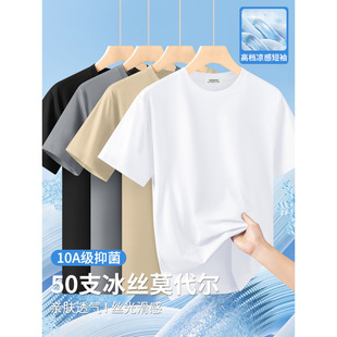 50s�z��Ī�����޸߶˰�ɫ����T����ʿ2026�ļ��¿�͸��ȴ�����