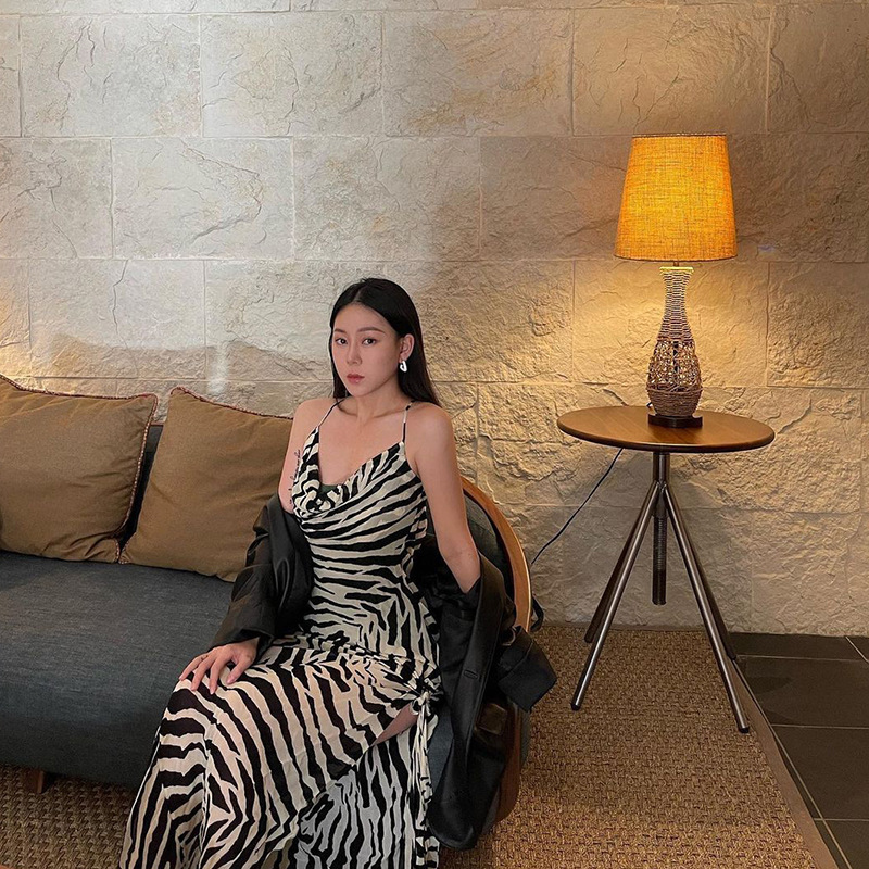 Women's Zebra Print High Slit Dress See-through Tie Waist Sexy Vacation Style Clothing for Fall Fashion 2024_ecoleips.com