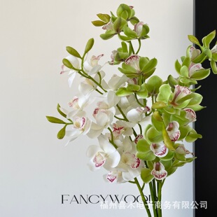 ��Ʒ�|7�^�����ָ�ޥ�m �m�� �F���Ҿӻ�ˇ��� �Ƶ���û�ˇ