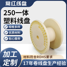 ABSɫϾP250һw;ռ{zSͰlzP