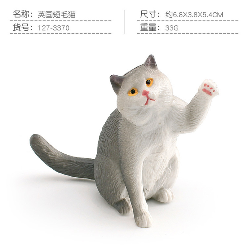 Pl127 - 3370 British short hair CAT 33G