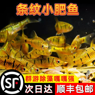 С?�~��ˮ������~���坍����̦�����Q�~��ʺ�����S���������