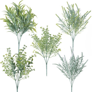 �羳����ֲ���ȼ�������Gֲ�����Ҿ��b��~�����b�ٻ��ݰ������l