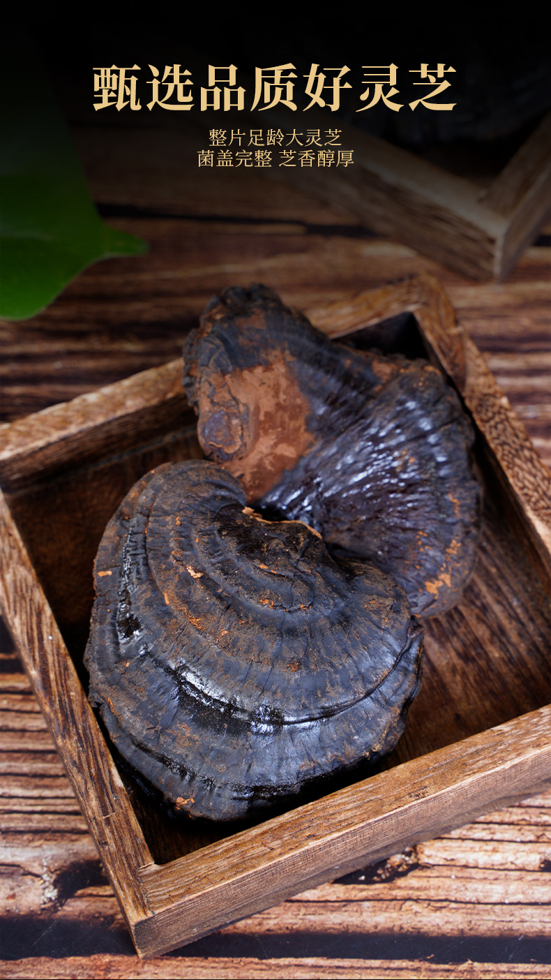 Organic Changbai Mountain Reishi Mushroom Whole Dried 25g Bag for Soup and Wine Soaking overview
