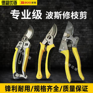 Persian Pruning Scissors, Pruning Shears, Fruit Tree Pruning, Labor-Saving Pruning, Gardening Scissors, Garden Tools, Floral Scissors