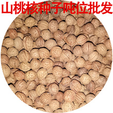 lľNɽҺ˷NëҺ˘N~ҘNɽҷNӾ^