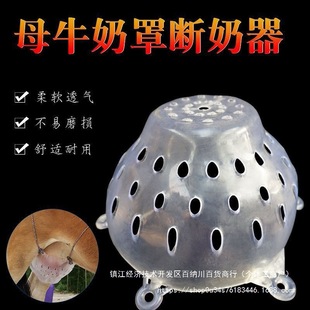 ţ���Ӕ������������������ţ�Ӻ���̔�����ĸţ���֫F���Bֳ��