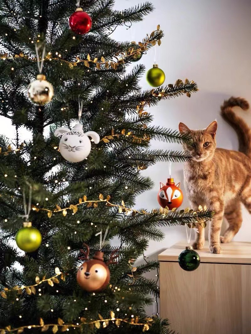 微信图片_20250409135331