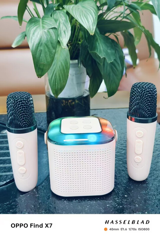 Y1ブルートゥースオーディオk歌一体屋外ホームパーティーセット無線マイクマイクミニbluetoothスピーカー|undefined