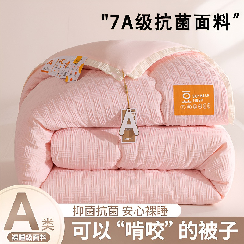 Soy Fiber Quilt Spring and Autumn Quilt Winter Quilt Thickeneded Warm Cotton Quilt Four-Season Universal Air-Conditioned Summer Cool Quilt Core Double