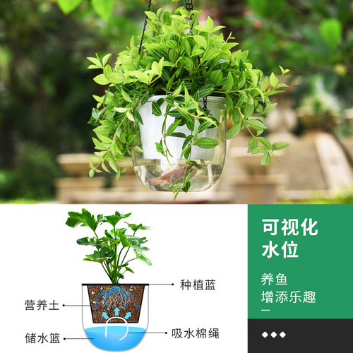  New Model Hanging Basket Automatic Watering Lazy Person Pothos Hanging Basket Tall and Deep Plastic Pothos Pot Large Size