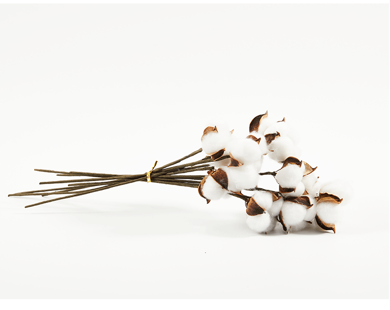 棉花_09.gif