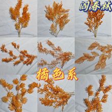 ��ɫϵ��c��Y����ɫ���ľƵ��픵��߷��滨���ٻ�����S�����l