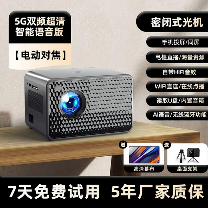 C2 black voice model