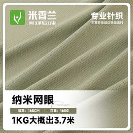 锦纶网眼布 透气孔运动面料 160g纳米网眼吸湿排汗T恤针织面料