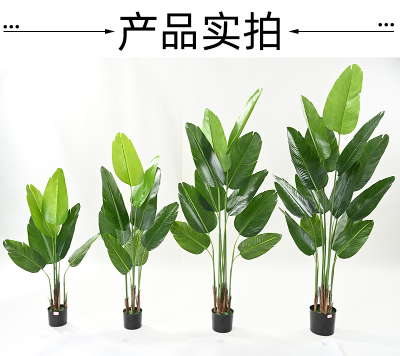 仿真绿植