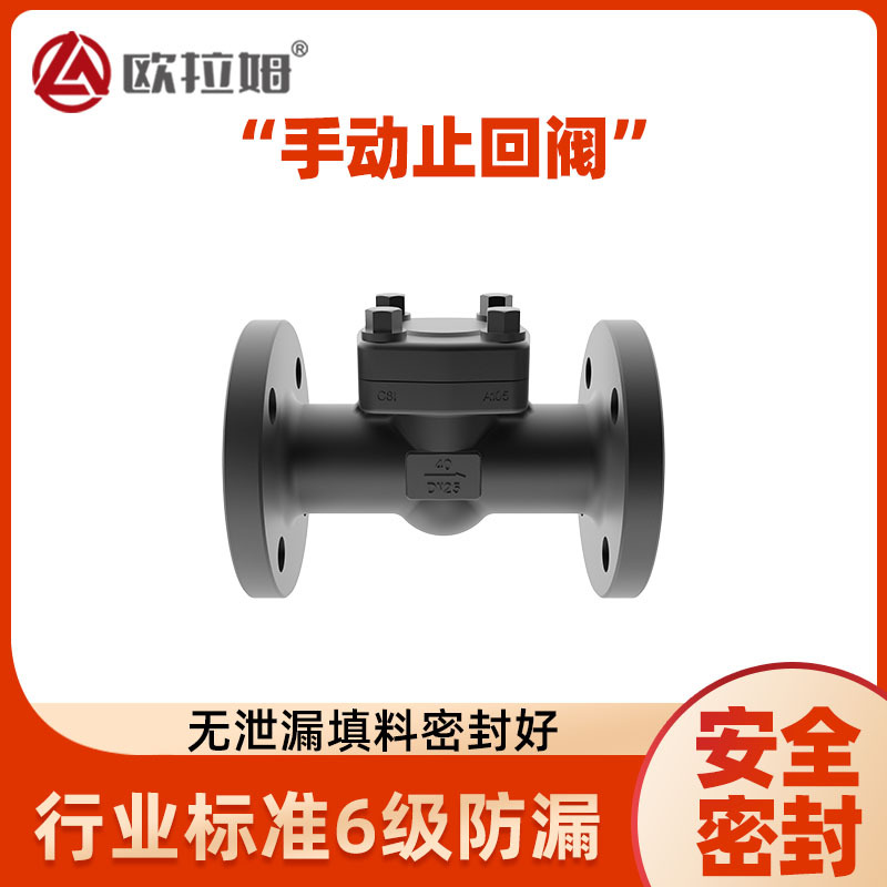 专属制造 手动止回阀批发 石油天然气工程阀门 模腔锻造热处理