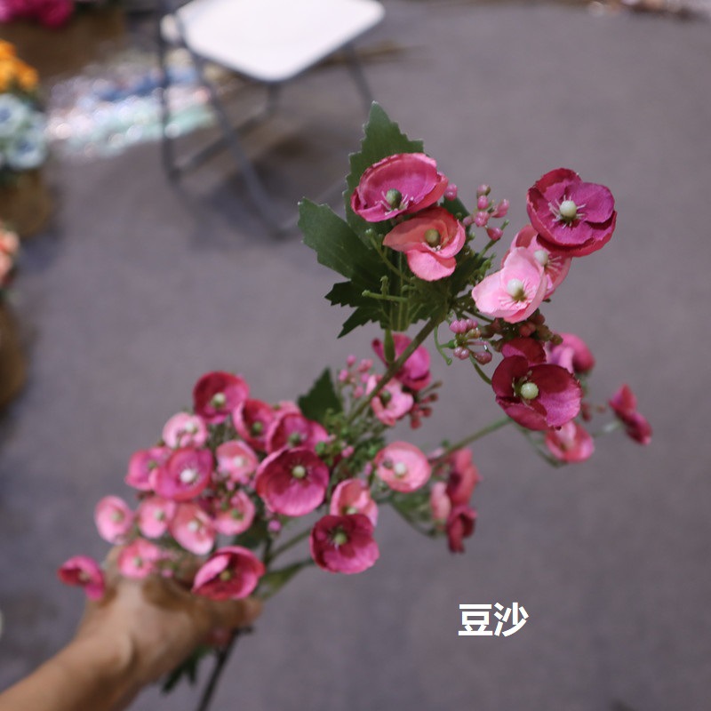 된장