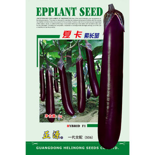 �����r ��Դ�Ŀ����L�ѷN�Ӻ���ɫ�L�ѷN���ļ��̨�����߲˷N��