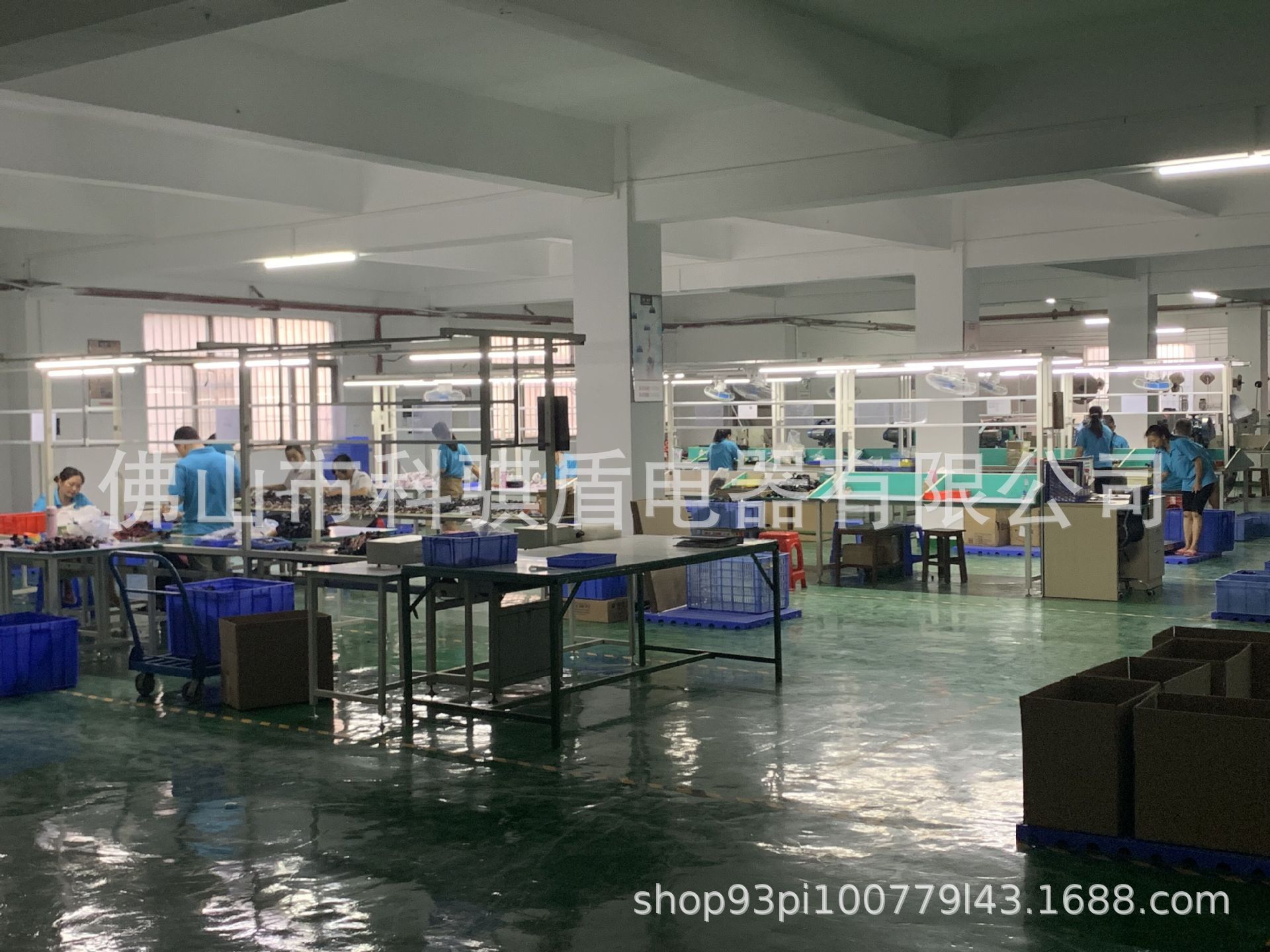 13049579924_2067103679