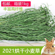 2023新紫花苜蓿草干草超绿小麦草兔子龙猫荷兰猪烘干牧草毛重1