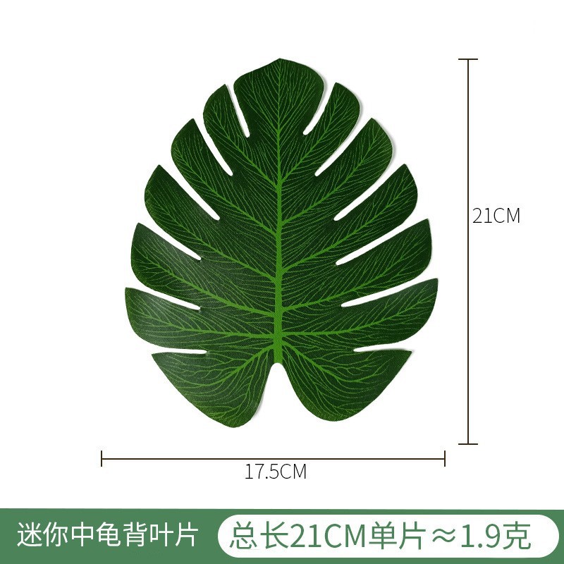 迷你中龟背叶 (1)