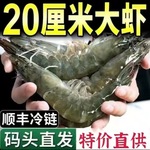 国产鲜活冷冻海捕大虾基围虾冻虾白对虾青虾海虾新鲜海鲜冷链运输