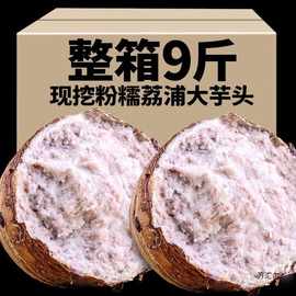 广西荔浦大芋头新鲜斤农家自种蔬菜香芋头槟榔芋艿牛奶芋头