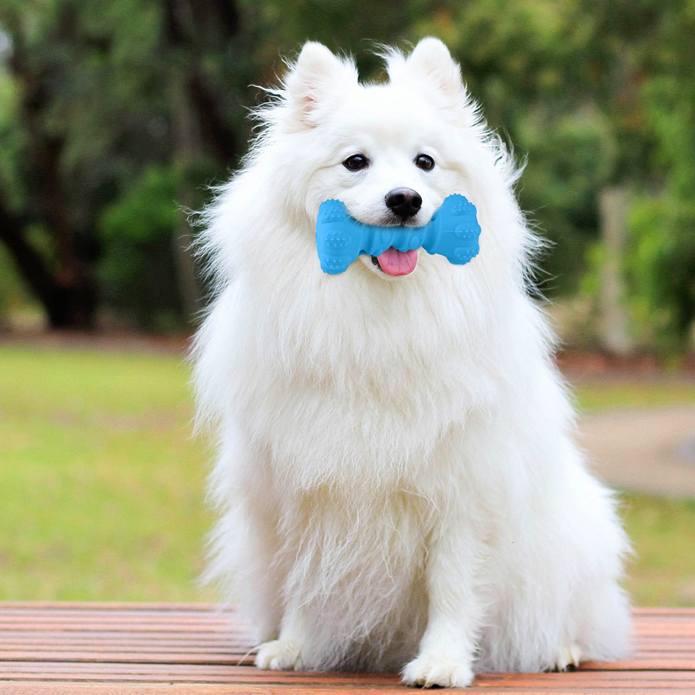 亚马逊爆款狗咬胶狗狗啃咬天然橡胶咀嚼玩具宠物互动玩具宠物用品