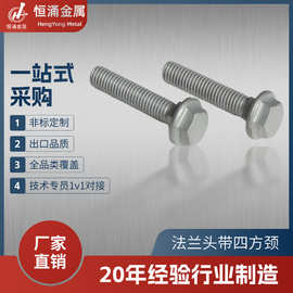 【定制】非标法兰头带四方颈螺栓耐腐蚀工业紧固热镀锌工艺全螺纹