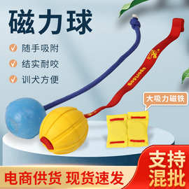 狗狗训练用品磁力球橡胶材质耐撕咬啃咬球训犬用品带绳星际泡沫球